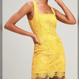 Lulu‘s yellow eyelet dress